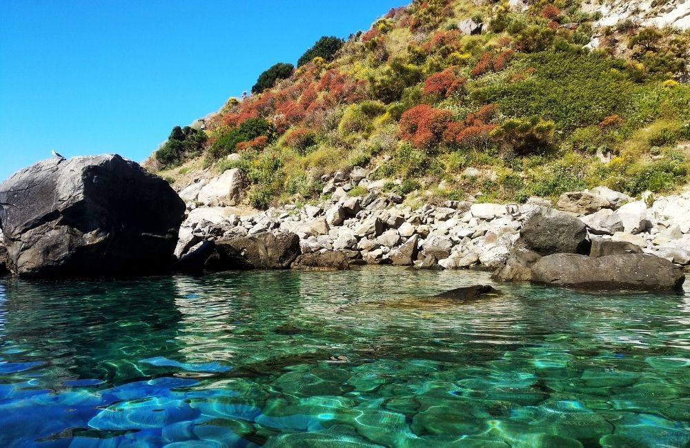 Parata Scotti, una bellissima e tranquilla baia di Ponza